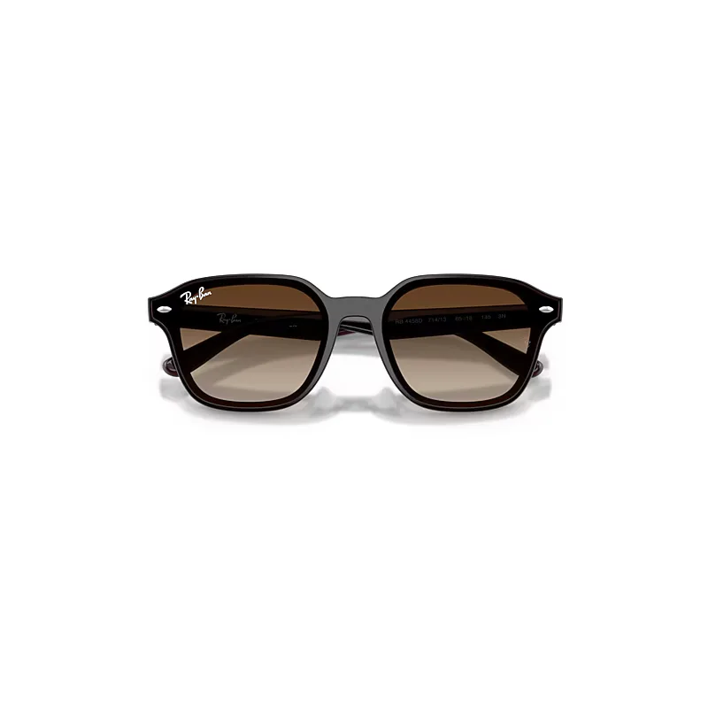 Rb4458d Sunglasses Transparent Dark Brown Frame Brown Lenses by Ray-Ban