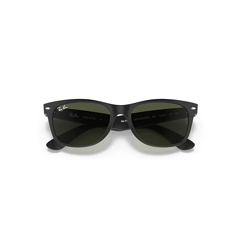 New Wayfarer Matte Sunglasses by Ray-Ban