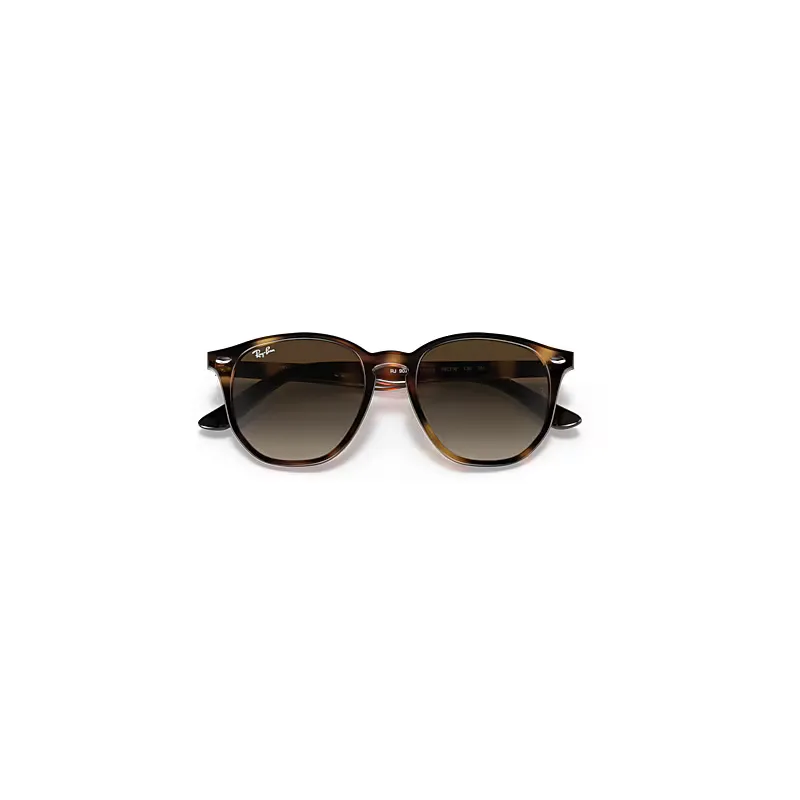 Rb9070s Sunglasses by Ray-Ban