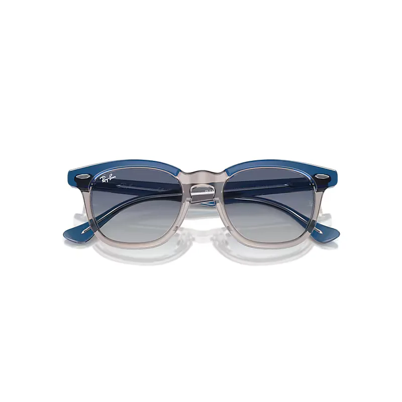 Rb9098s Sunglasses by Ray-Ban