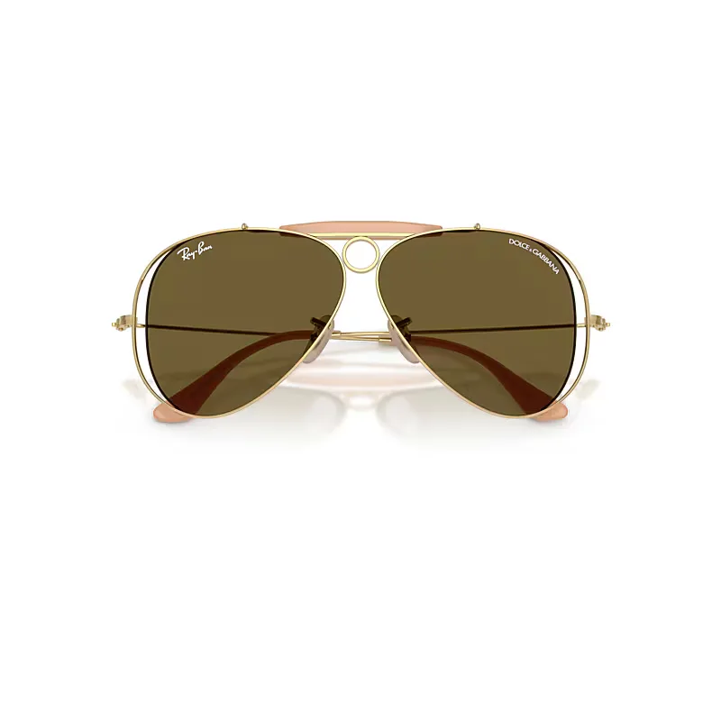 The Shooter by Dolce&gabbana Sunglasses Arista Gold Frame Brown Lenses by Ray-Ban