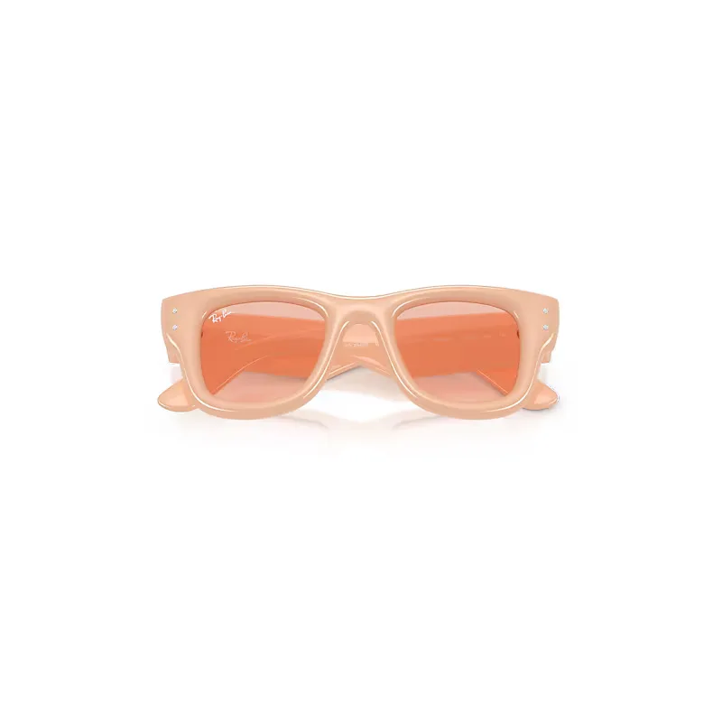 Wayfarer Puffer Crystal Edition Sunglasses Solid Nude Frame Pink Lenses