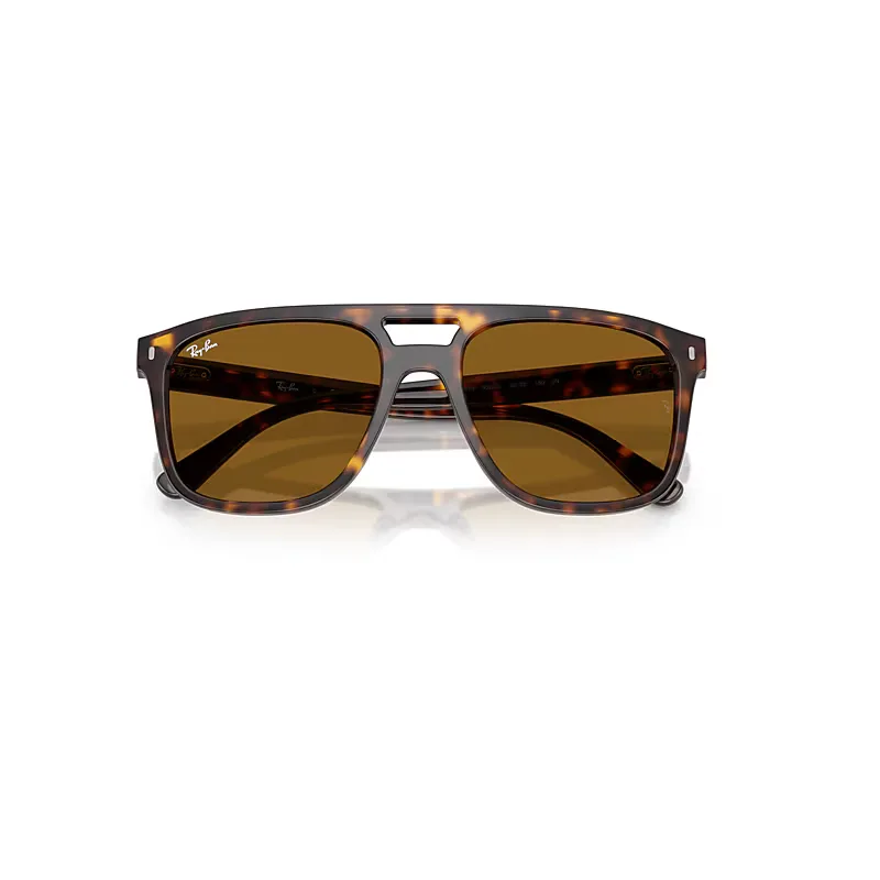 Rb2213 Sunglasses