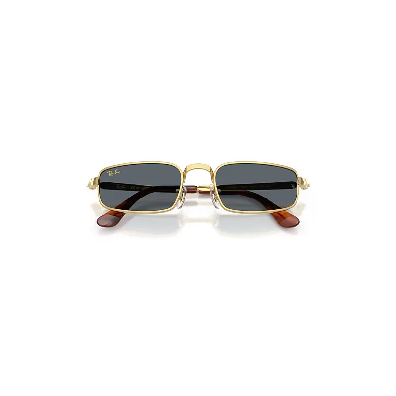 Rb3927 by A$ap Rocky Sunglasses by Ray-Ban