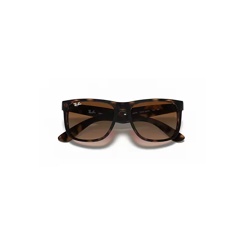 Justin Classic Sunglasses Brown Lenses by Ray-Ban