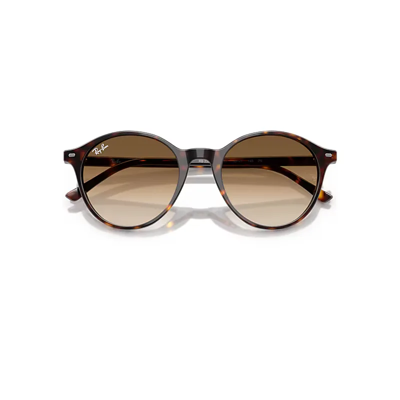 Rb2230 Sunglasses Havana Frame Brown Lenses