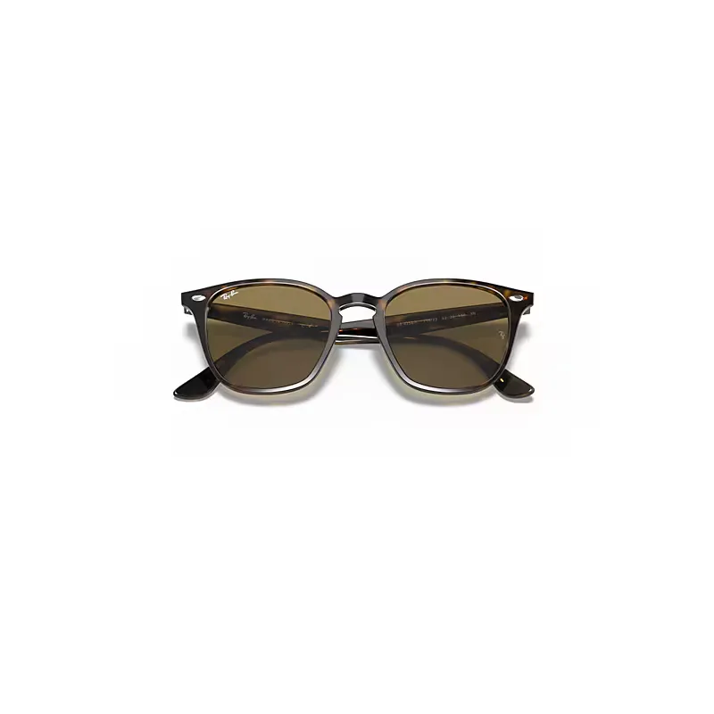 Rb4258 Sunglasses Brown Lenses by Ray-Ban