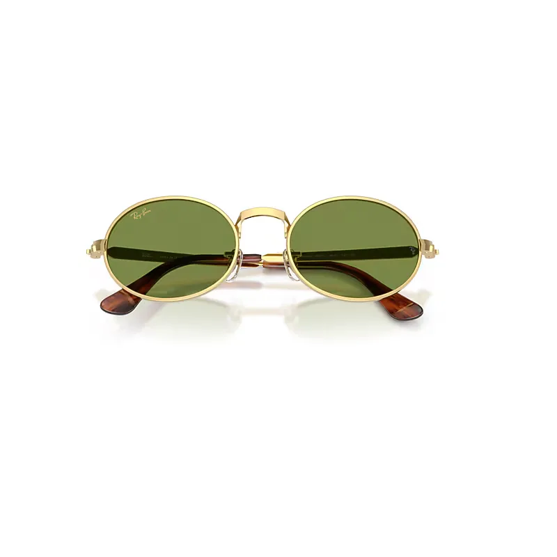 Rb3931 by A$ap Rocky Sunglasses Green Lenses