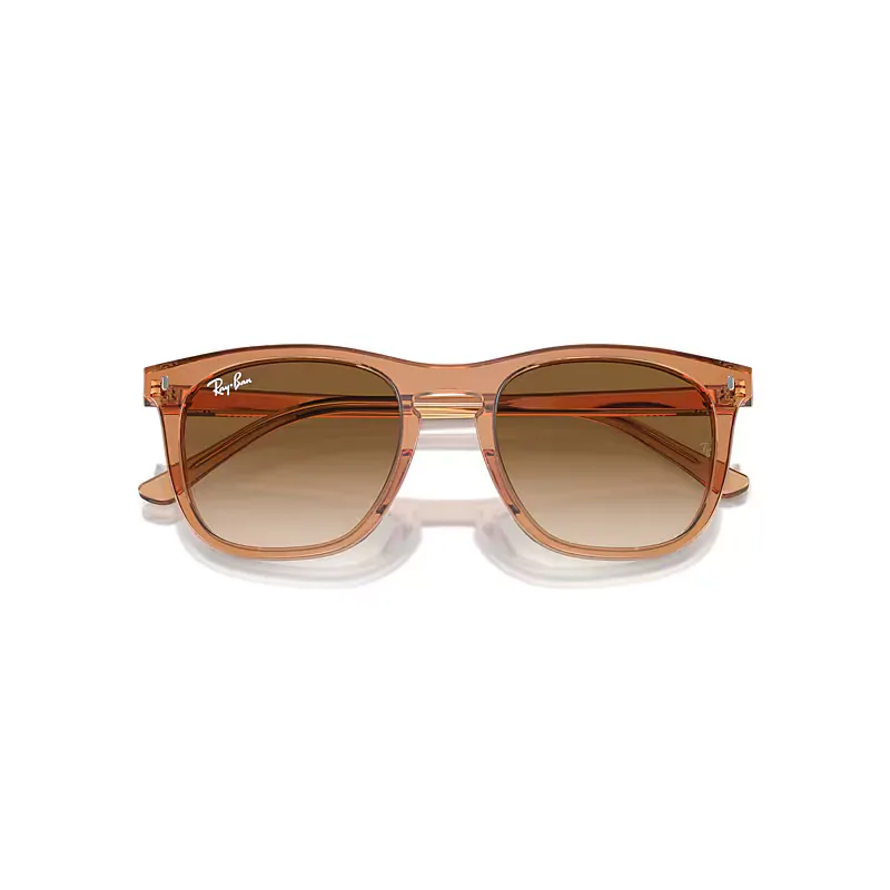 Rb2210 Sunglasses Transparent Brown Frame Brown Lenses by Ray-Ban