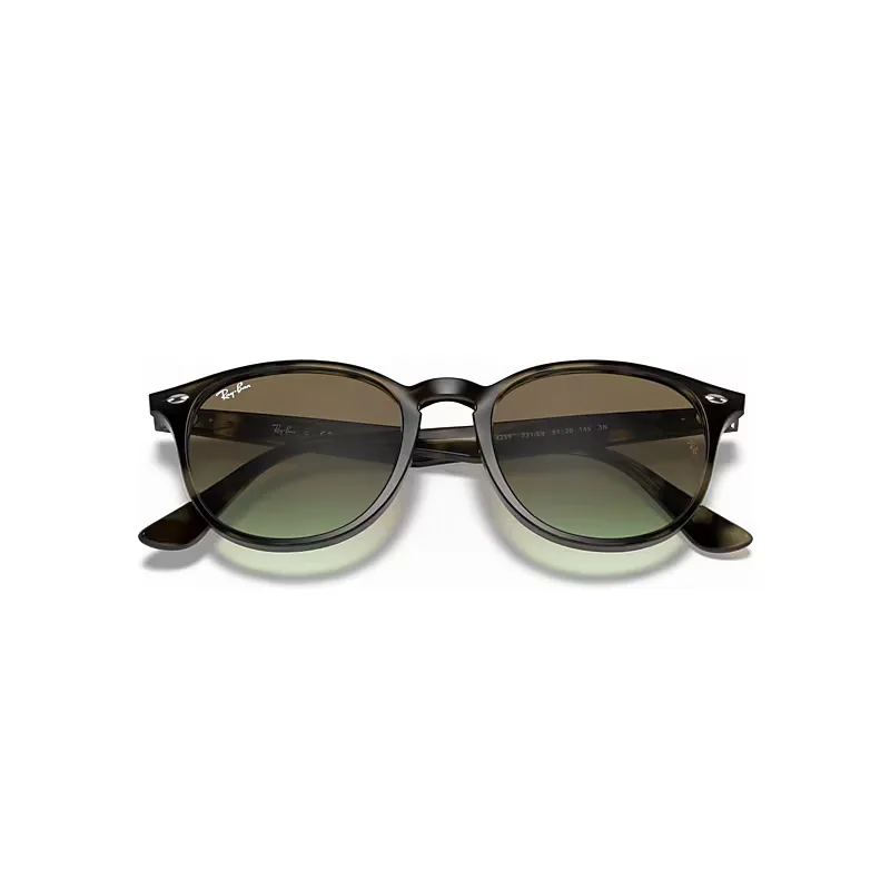 Rb4259 Sunglasses Grey Havana Frame Brown Lenses
