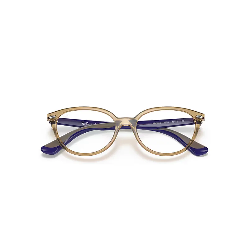 Rb1612 Optics Eyeglasses Blue on Rubber Turtledove Frame Clear Lenses Polarized by Ray-Ban
