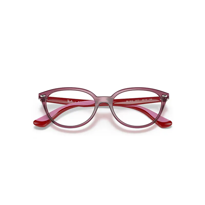 Rb1612 Optics Eyeglasses Red on Pink Frame Clear Lenses Polarized by Ray-Ban