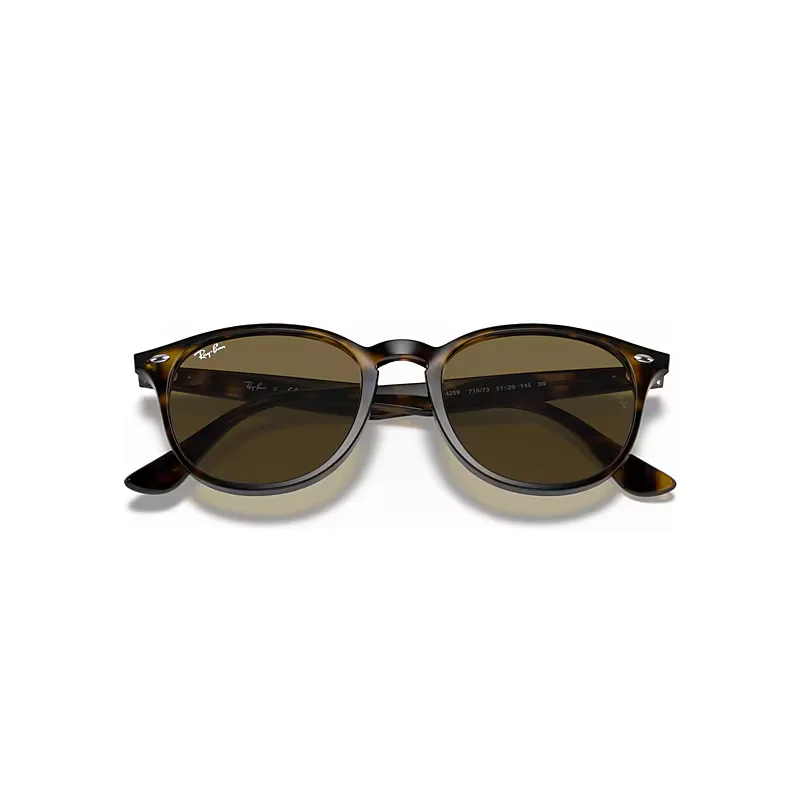 Rb4259 Sunglasses Brown Lenses by Ray-Ban