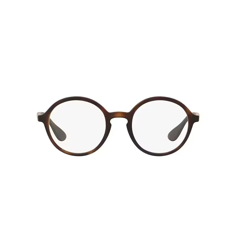 Rb7075 Eyeglasses Clear Lenses Polarized by Ray-Ban