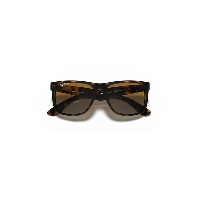 Justin Classic Sunglasses Brown Lenses Polarized by Ray-Ban