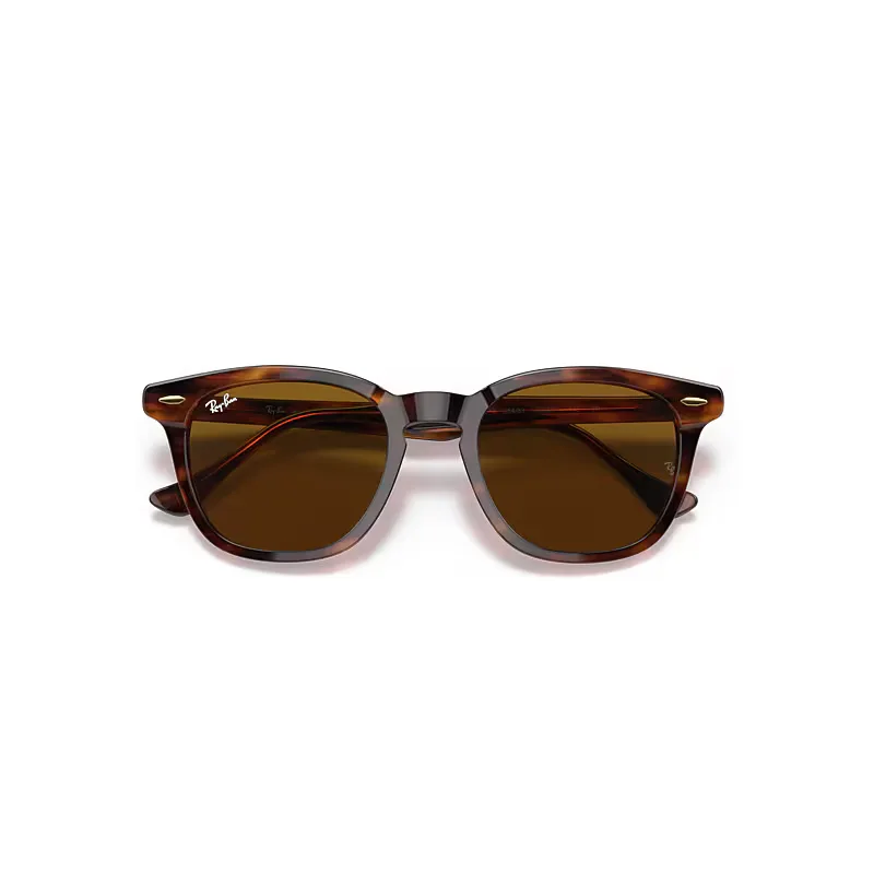 Hawkeye Sunglasses Brown Lenses by Ray-Ban