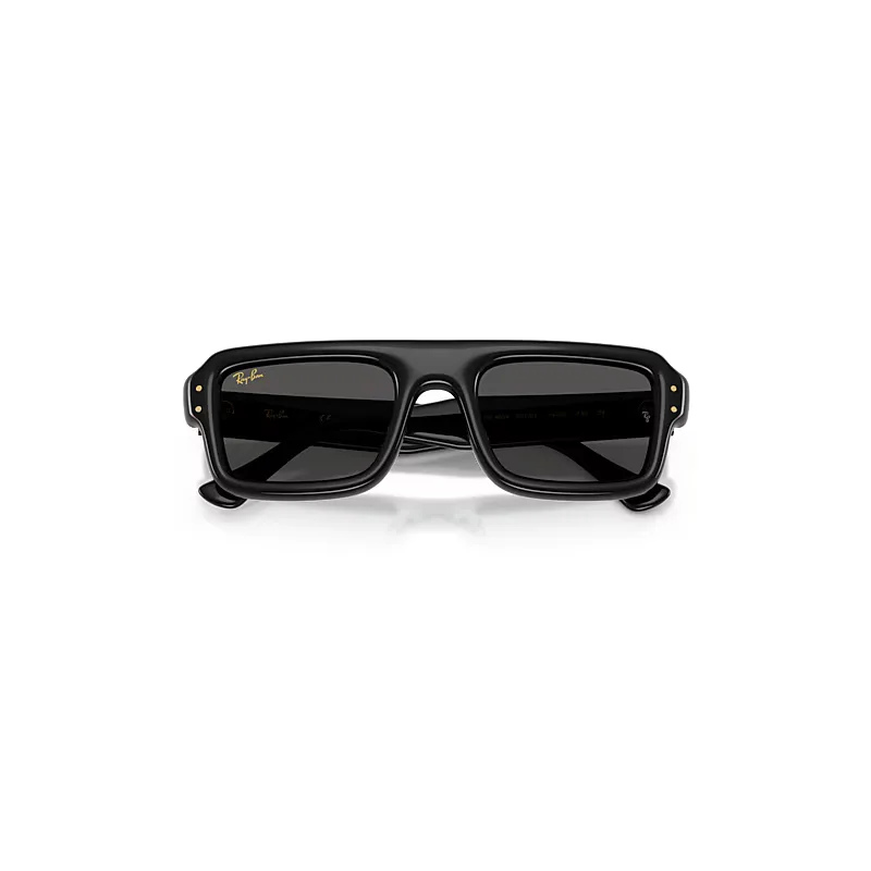 Flacko Puffer Sunglasses Black Lenses by Ray-Ban