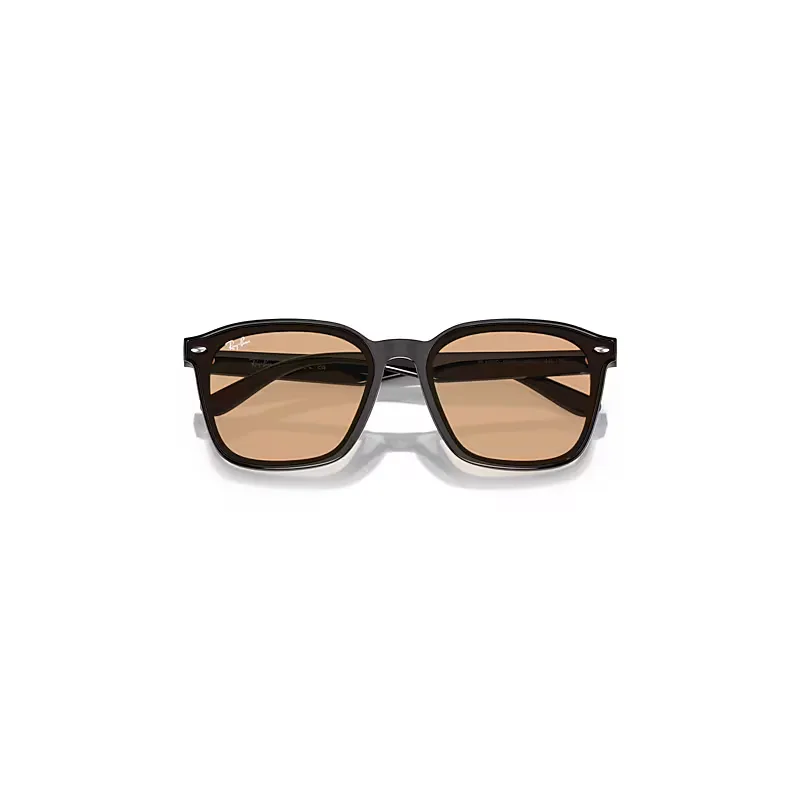 Rb4392d Sunglasses Brown Lenses by Ray-Ban