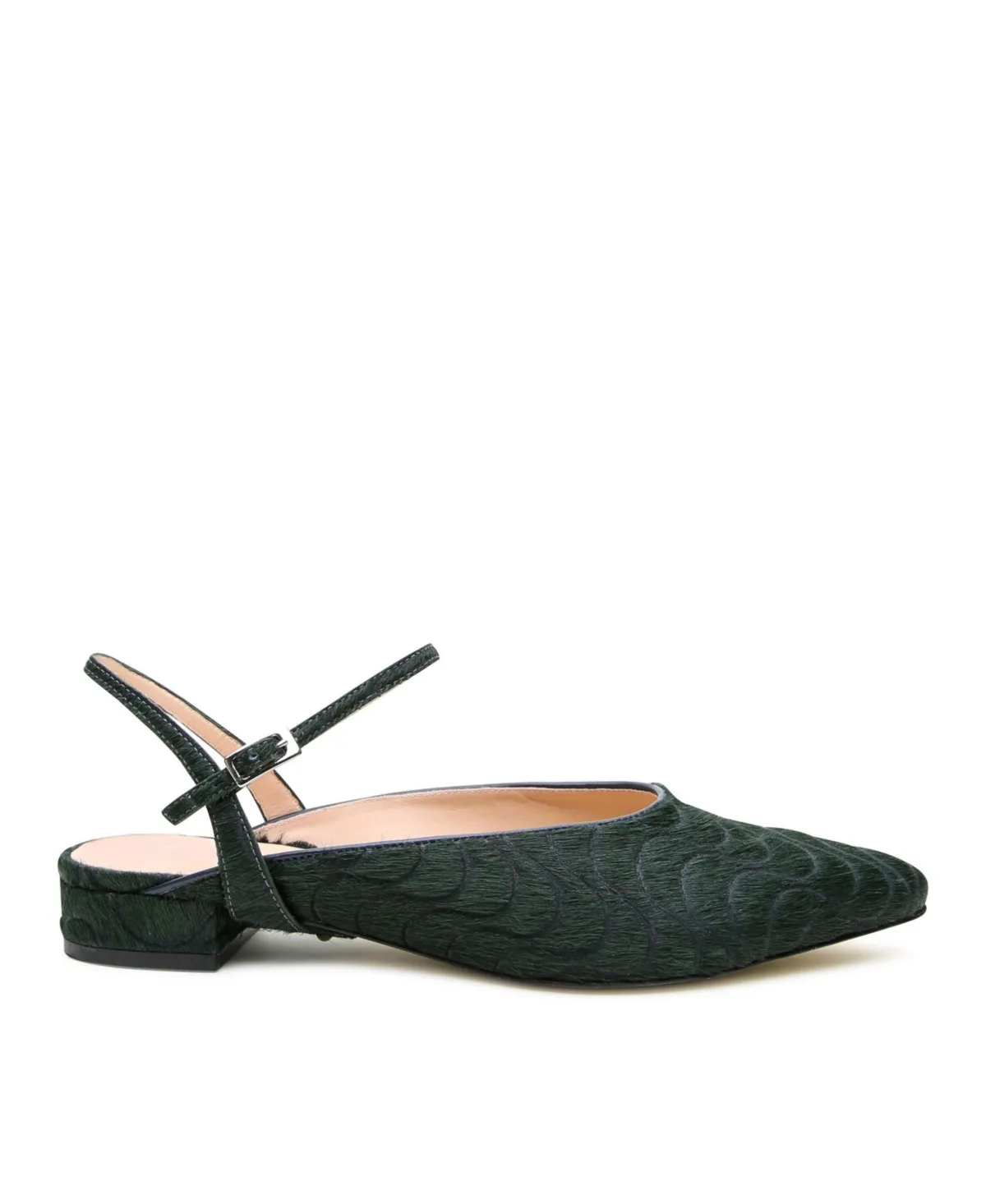 Amal Customizable Point Slides by Alterre