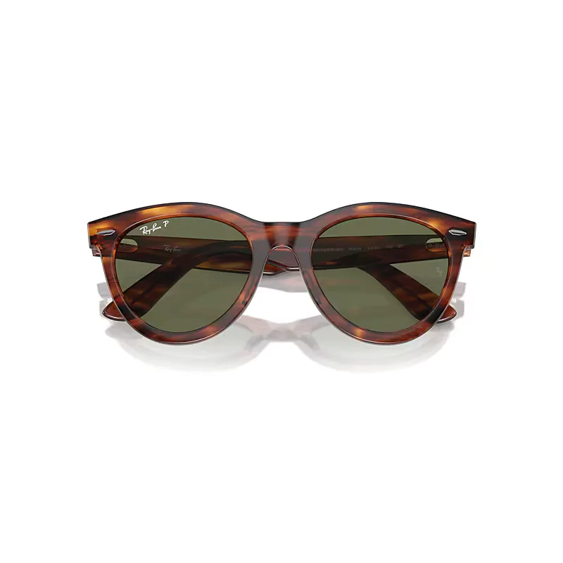 Wayfarer Way Sunglasses Polarized by Ray-Ban