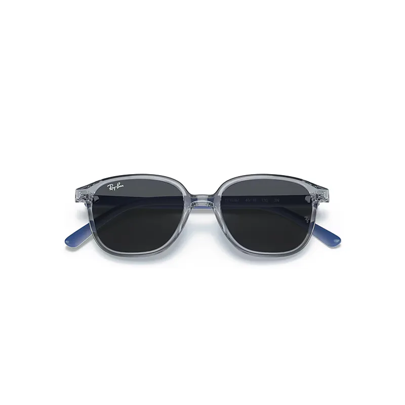 Leonard Sunglasses by Ray-Ban