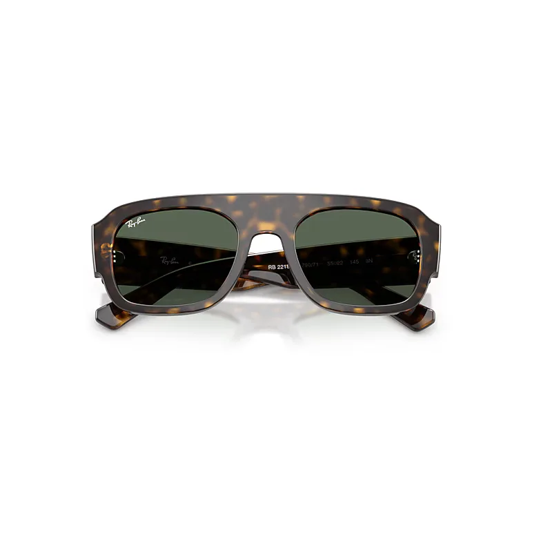 Rb2218 Sunglasses Havana Frame Green Lenses