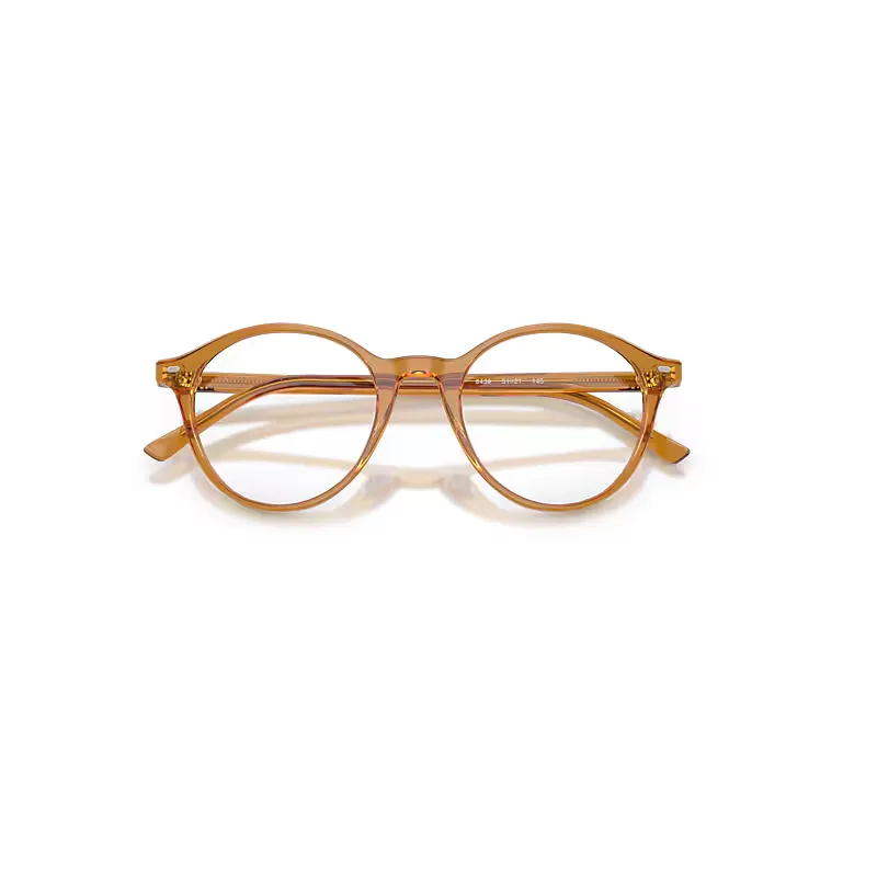 Rb5430 Optics Eyeglasses Transparent Frame Clear Lenses Polarized