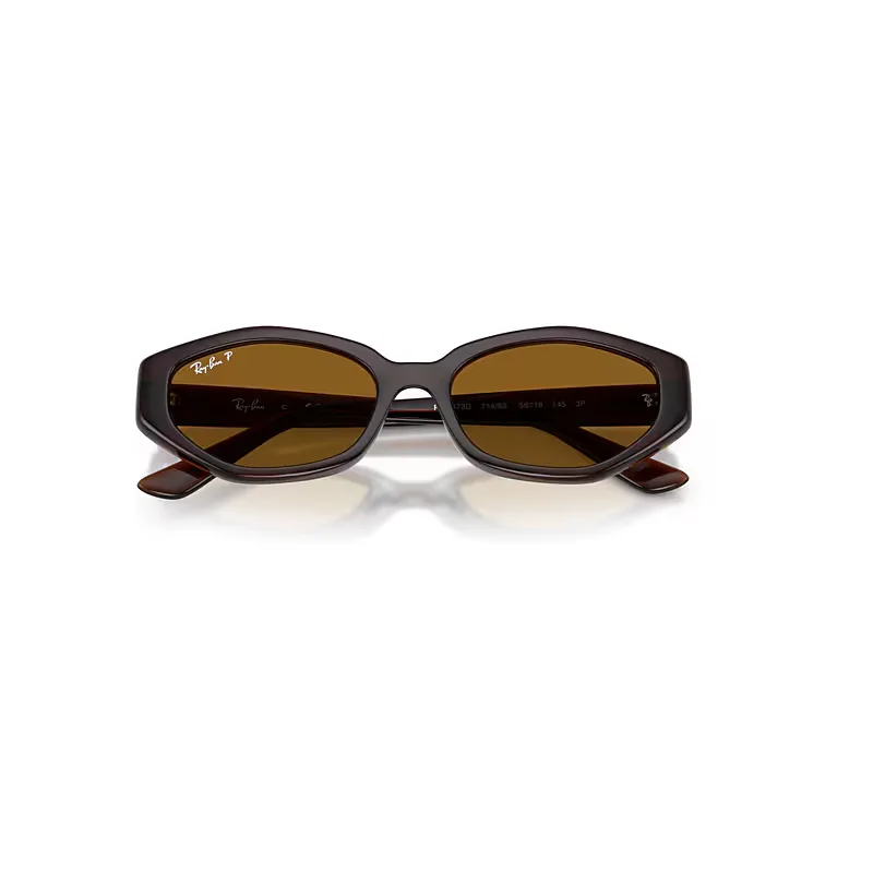 Rb4473d Sunglasses Dark Brown Frame Brown Lenses Polarized