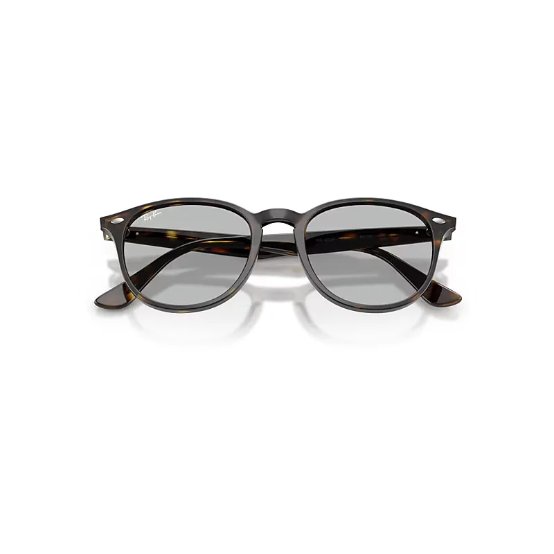 Rb4259 Sunglasses