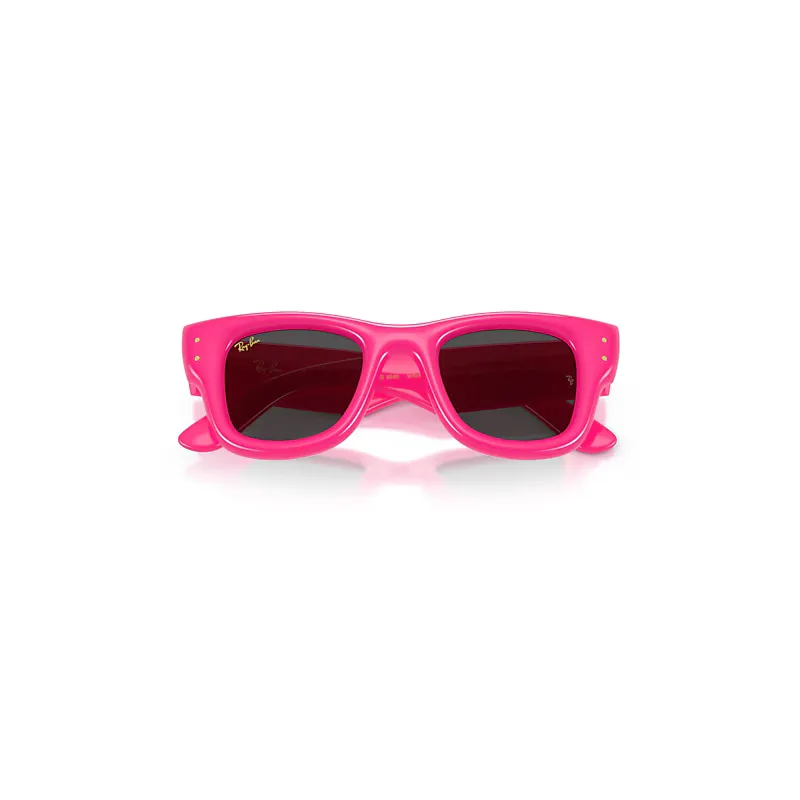 Wayfarer Puffer Sunglasses