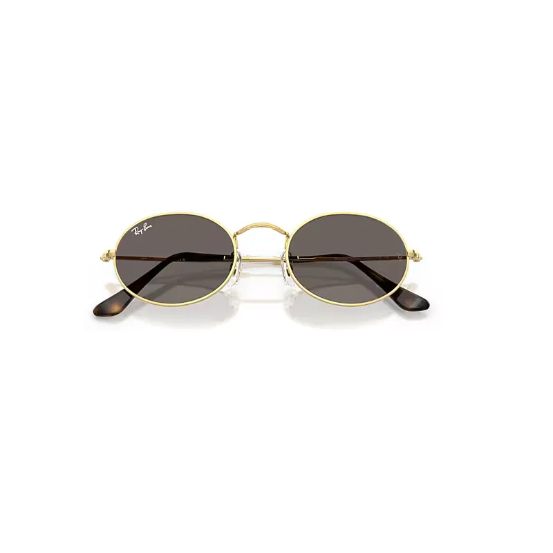 Oval Flat Lenses Sunglasses by Ray-Ban