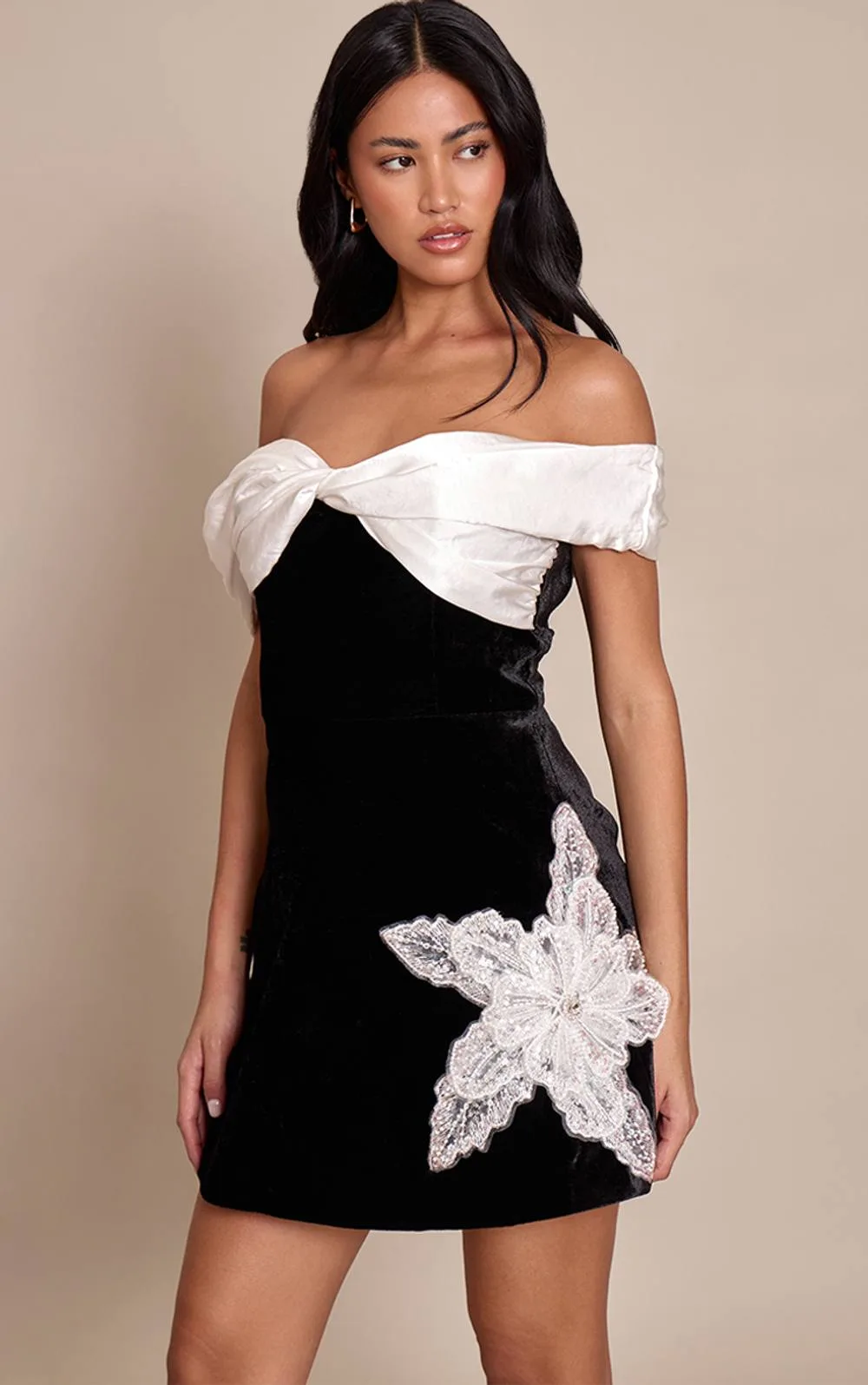 Velvet Floral Applique Embellished A-Line Shift Dress