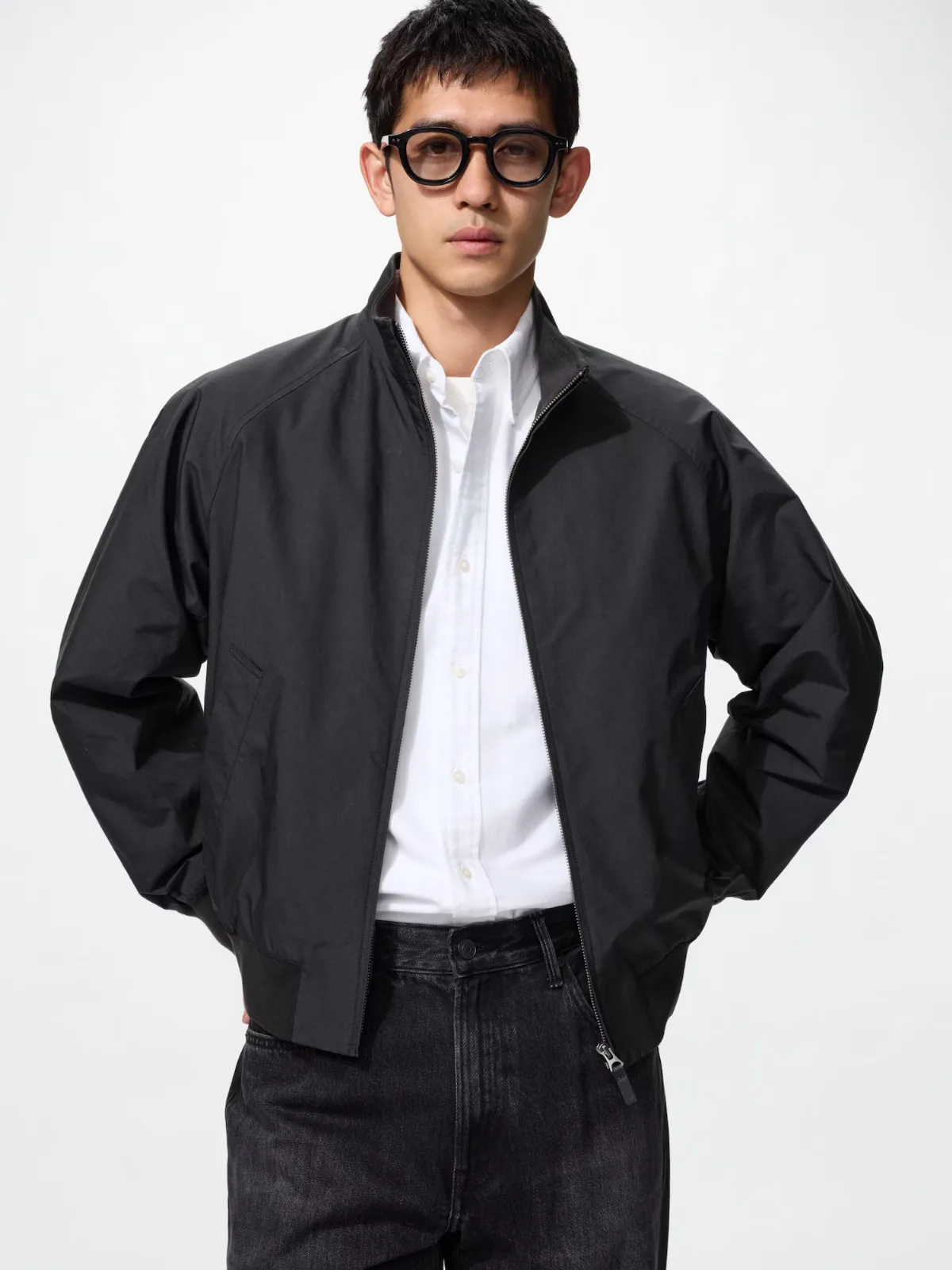 Harrington Jacket by UNIQLO