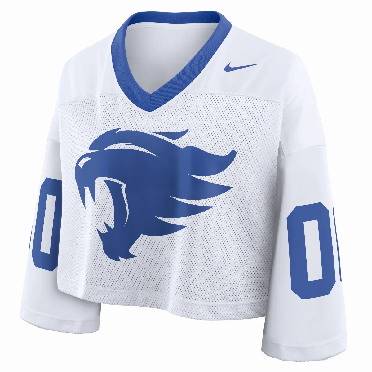 Kentucky Logo Dri-FIT College Cropped Jersey
