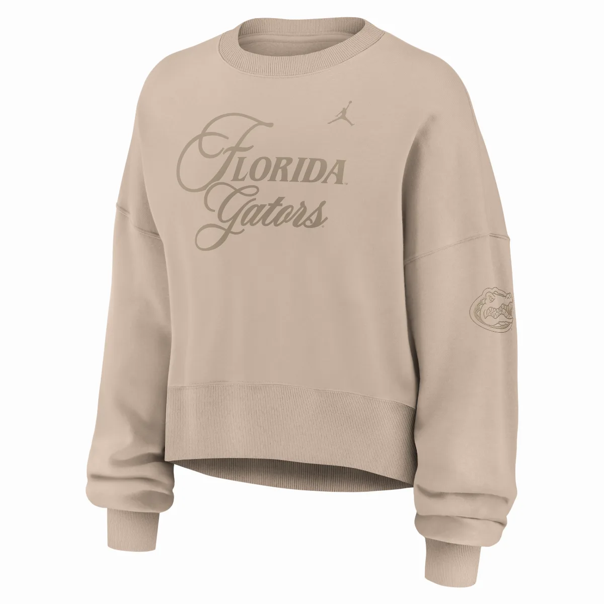 Florida Neutral Stance Collection Phoenix Jordan Brand College Oversized Pullover Hoodie by Jordan