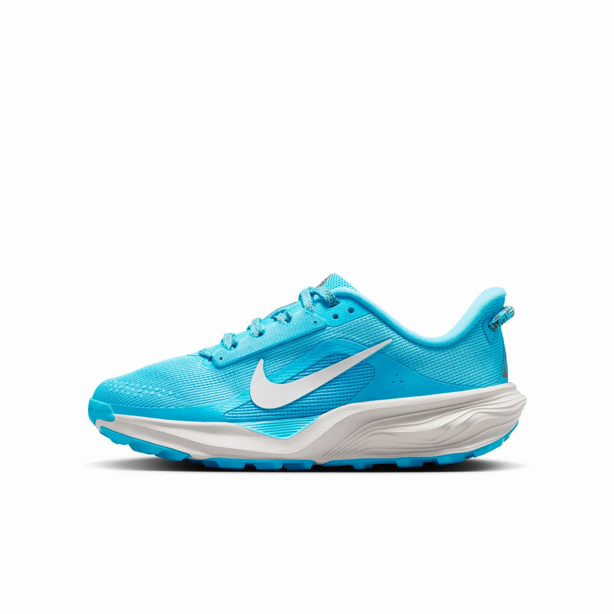 ACG Pegasus Trail Running Shoes by Nike