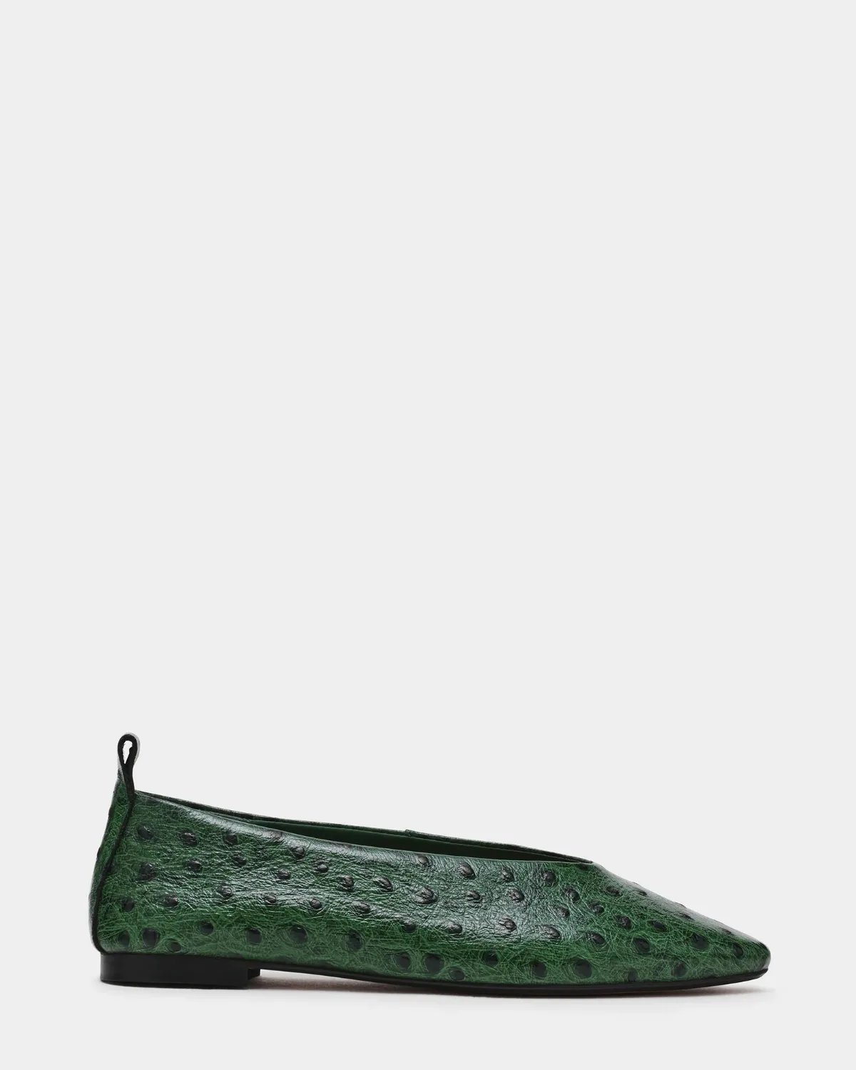 Swanky Ostrich Pointed Toe Flats - Leather by Steve Madden