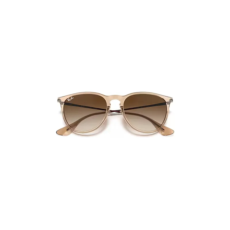 Erika Color Mix Sunglasses Transparent Brown Frame Brown Lenses by Ray-Ban