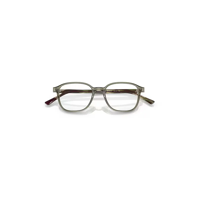 Leonard Optics Eyeglasses Grey & Brown Havana Frame Clear Lenses Polarized by Ray-Ban