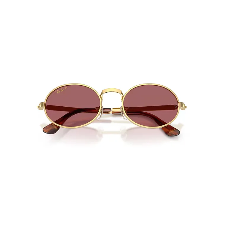 Rb3931 by A$ap Rocky Sunglasses Violet Lenses Polarized by Ray-Ban