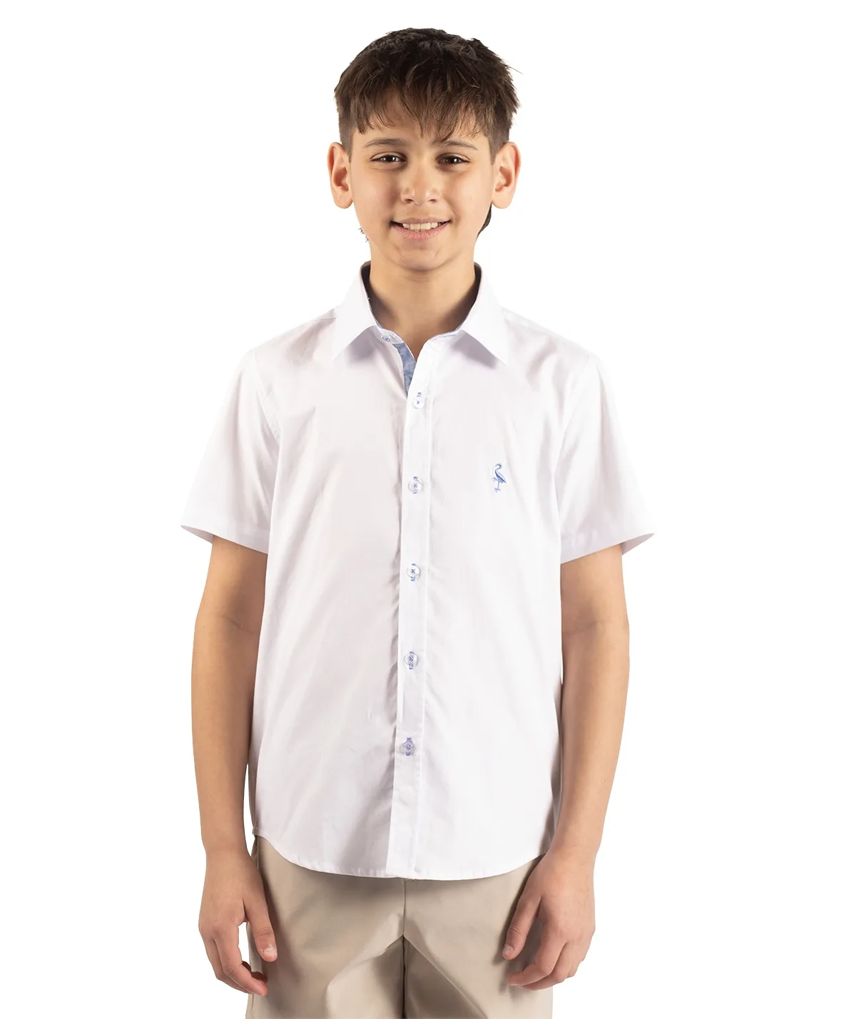 Signature Oxford Short Sleeve Shirt by Tailorbyrd