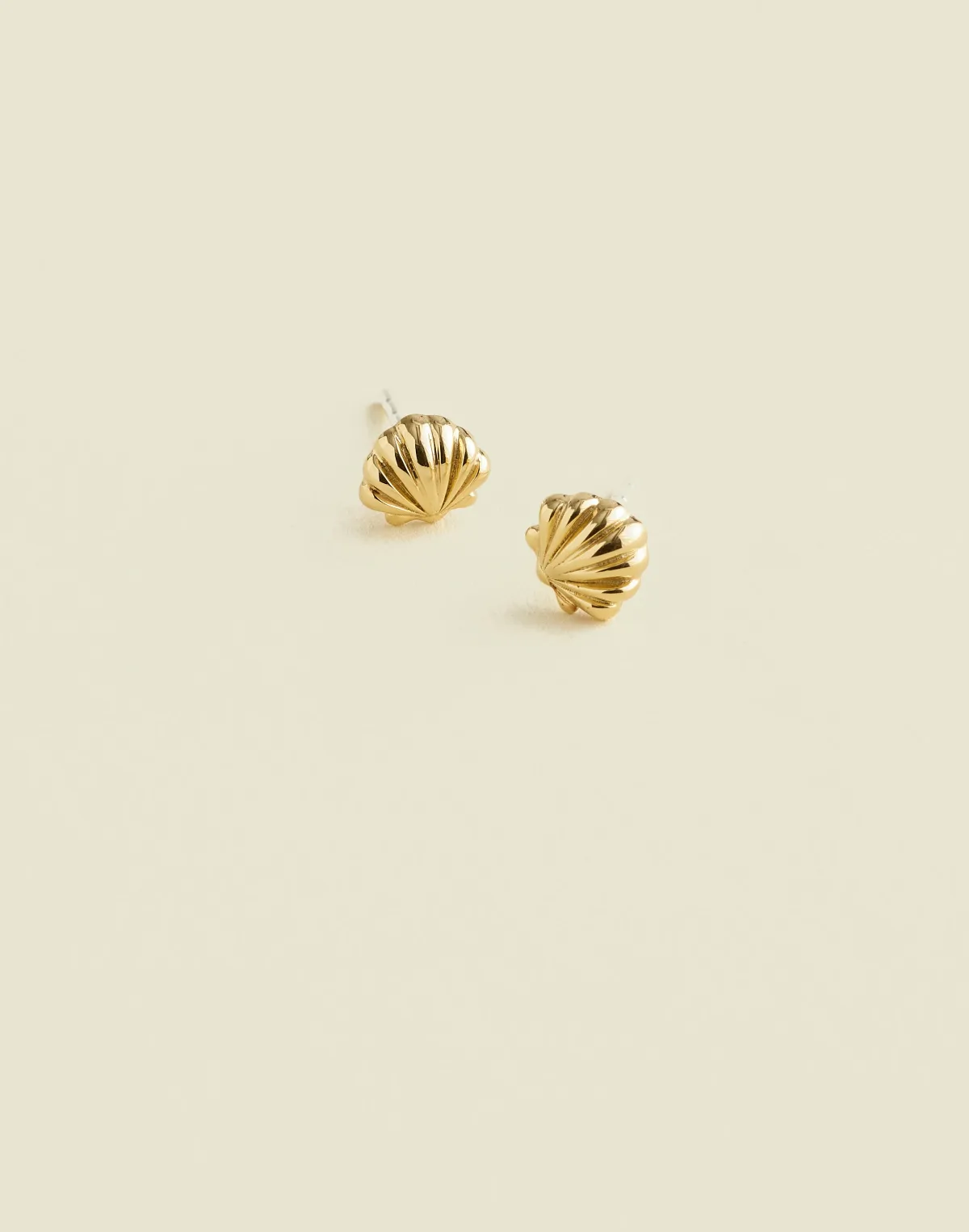 Demi-Fine Shell Stud Earrings by MW