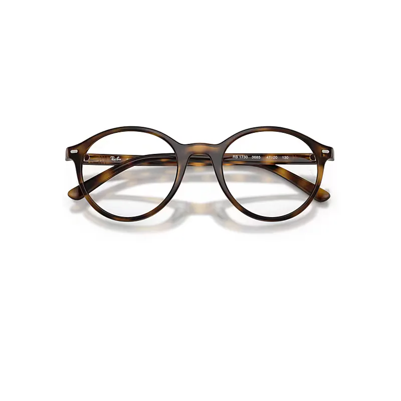 Rb1730 Optics Eyeglasses Havana Frame Clear Lenses Polarized by Ray-Ban