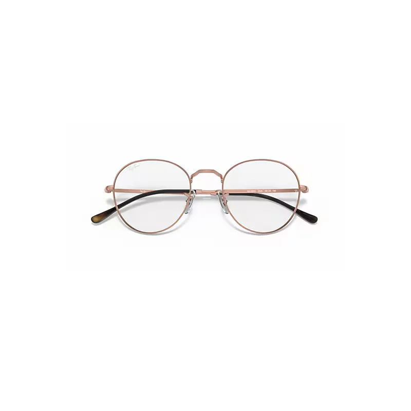 Round Metal Optics II Eyeglasses Bronze-Copper Frame Clear Lenses Polarized by Ray-Ban