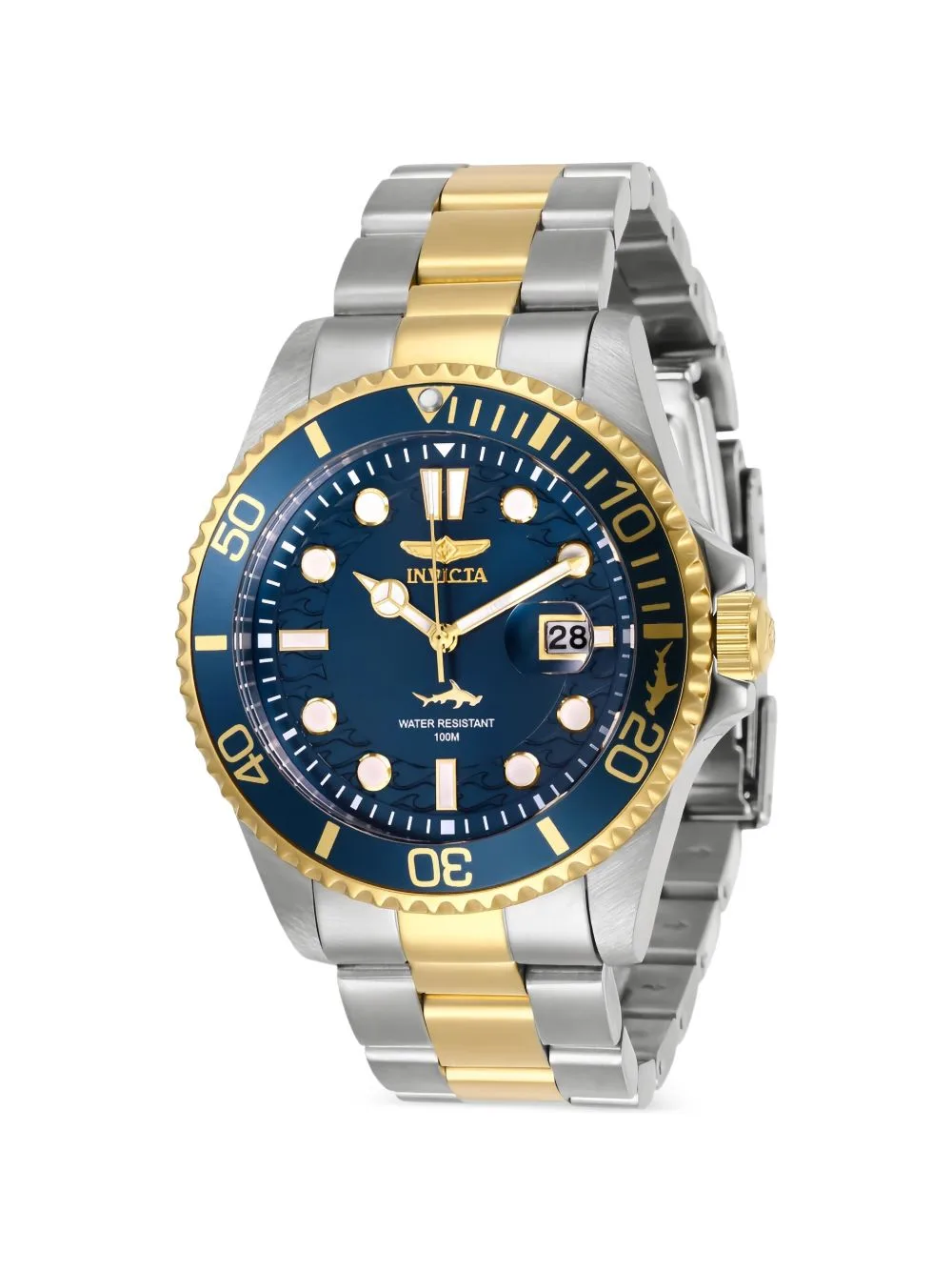 Pro Diver 43mm Watch