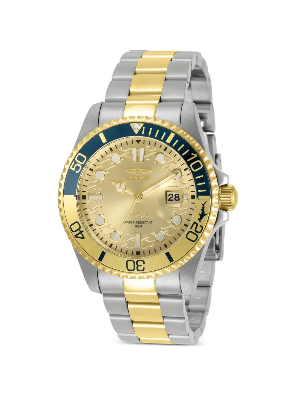 Pro Diver 43mm Watch
