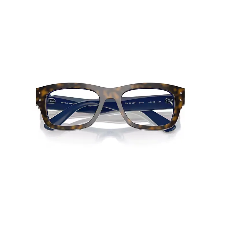 Joseph Optics Eyeglasses Clear Lenses Polarized by Ray-Ban