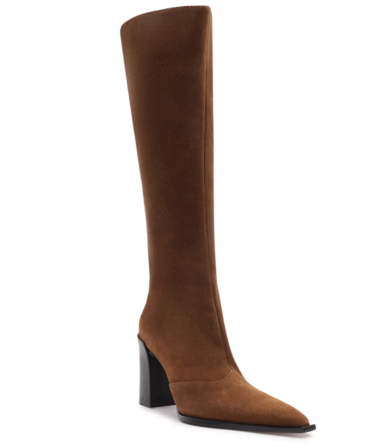 Raffaela Up Pointed Toe Dress Boots