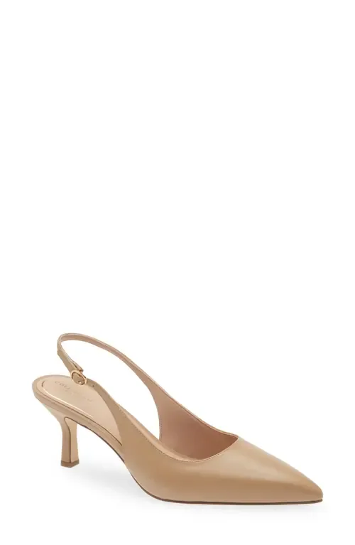 Hansell Slingback Pointed Toe Pump in Provincial Blue Suede