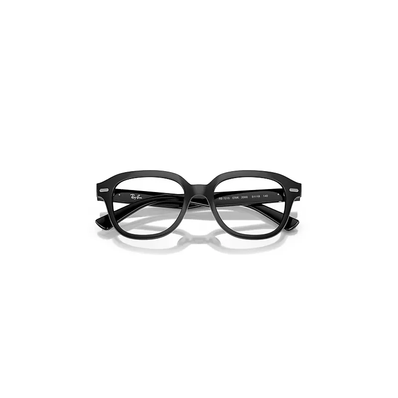 Erik Optics Eyeglasses Black Frame Clear Lenses Polarized by Ray-Ban